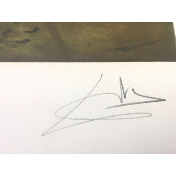 Lithograph Salvador Dali ‘The Dream Of Columbus’ Limited Edition Signed Original - Picture 6 of 11